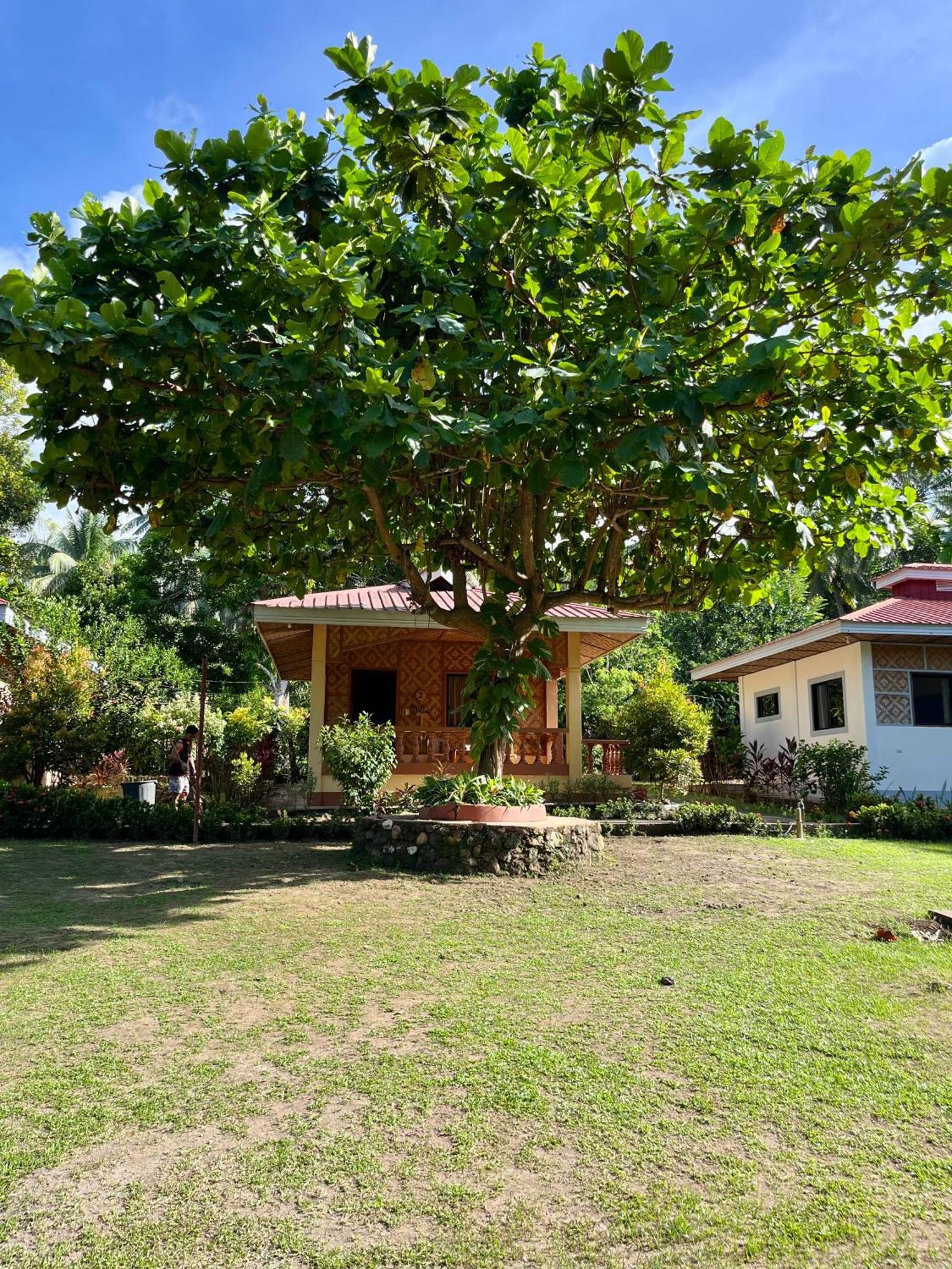 Paco'S Garden Home Stay Mambajao Eksteriør bilde